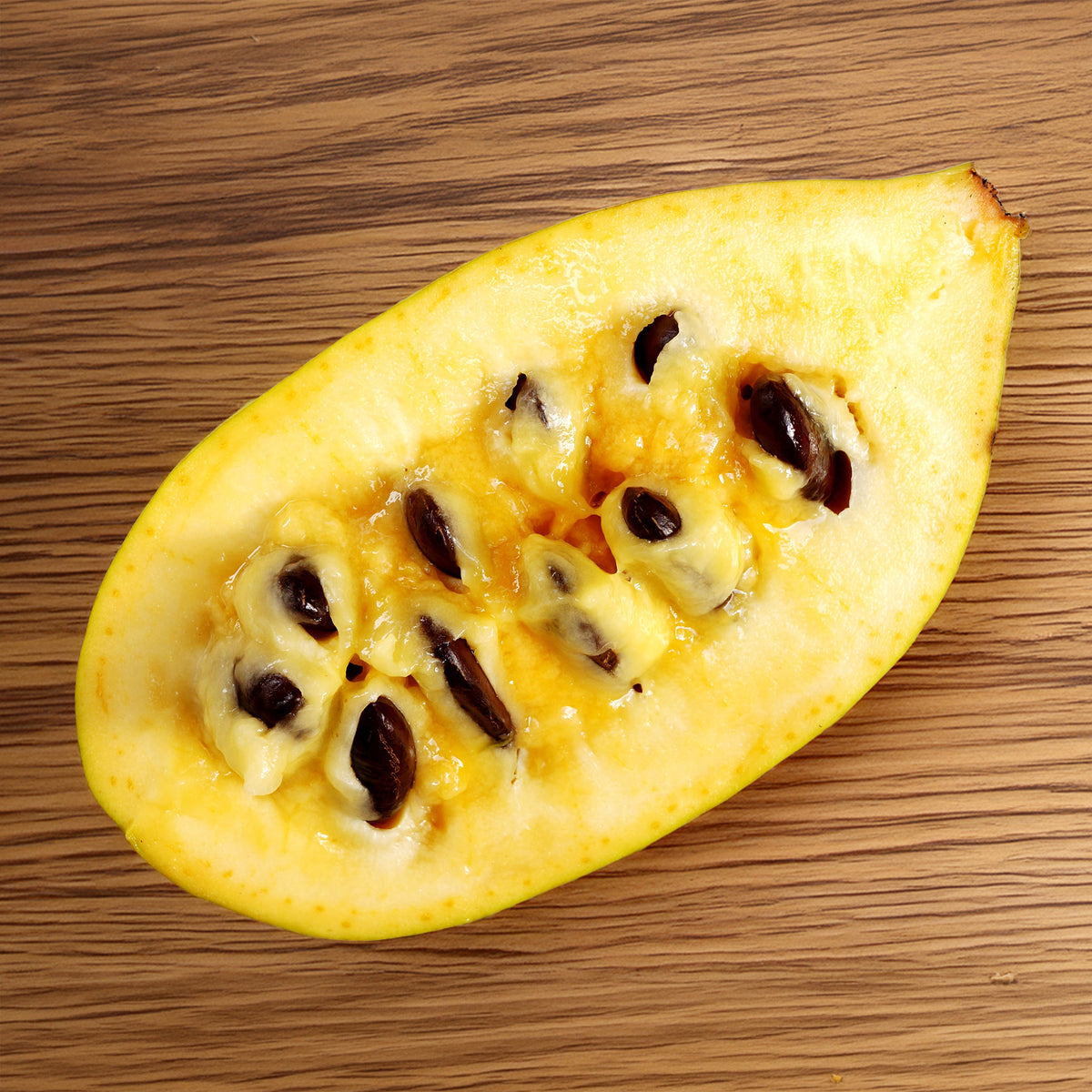 Verkauf - Asimina Triloba Prima