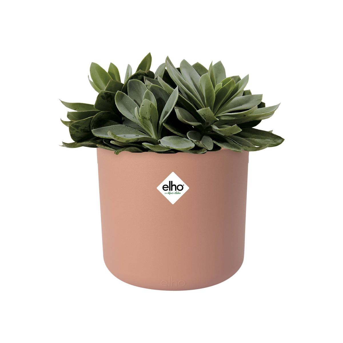 Übertopf B für Soft rund rosa ELHO - - Willemse