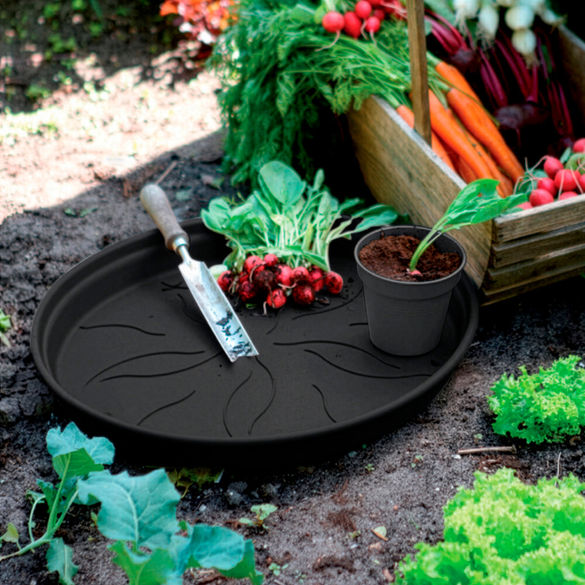 Untersetzer Green Basics Living Schwarz ELHO - - Willemse