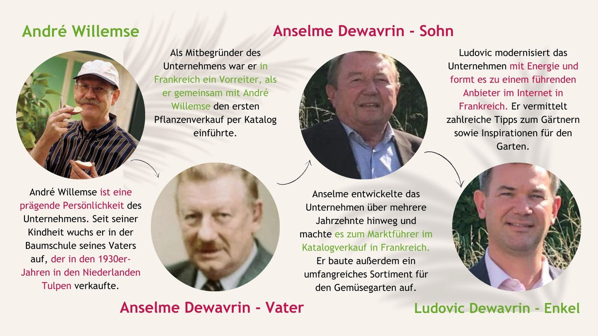 Die Geschichte von Willemse