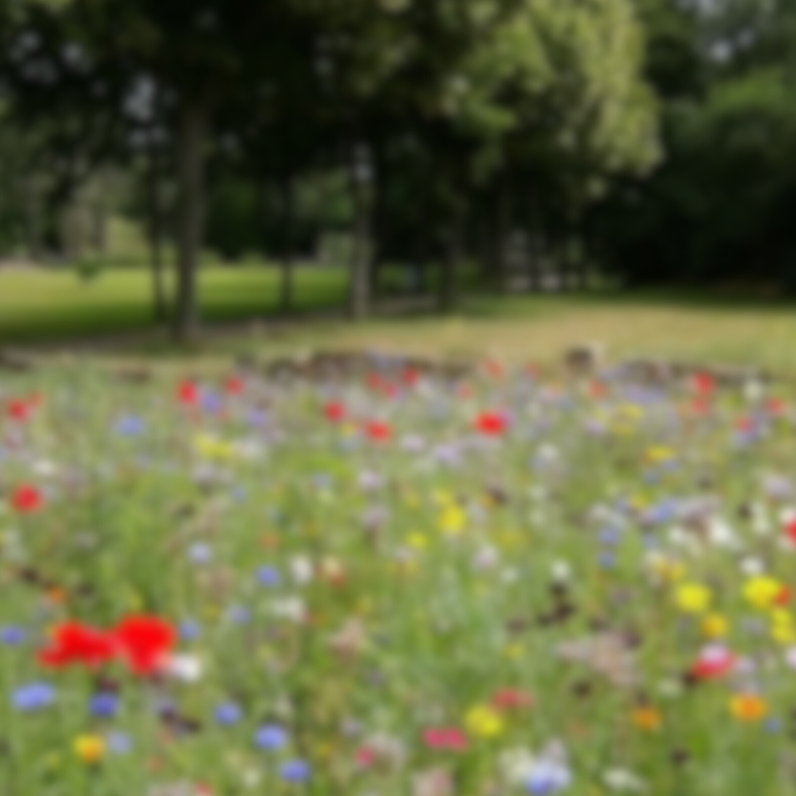 QUI SOMMES-NOUS (10).png__PID:4a6c2015-6df8-41e4-a1af-765daaccb730