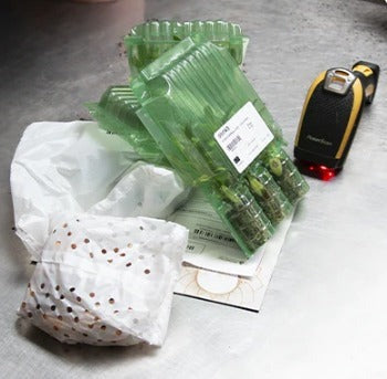 Unsere Verpackungen