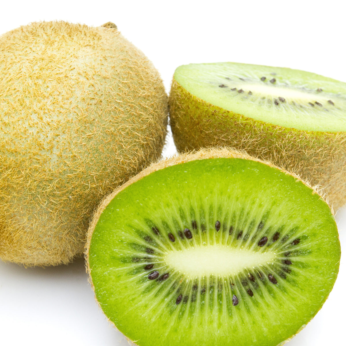 Kiwi Jenny - Actinidia deliciosa Jenny - Willemse