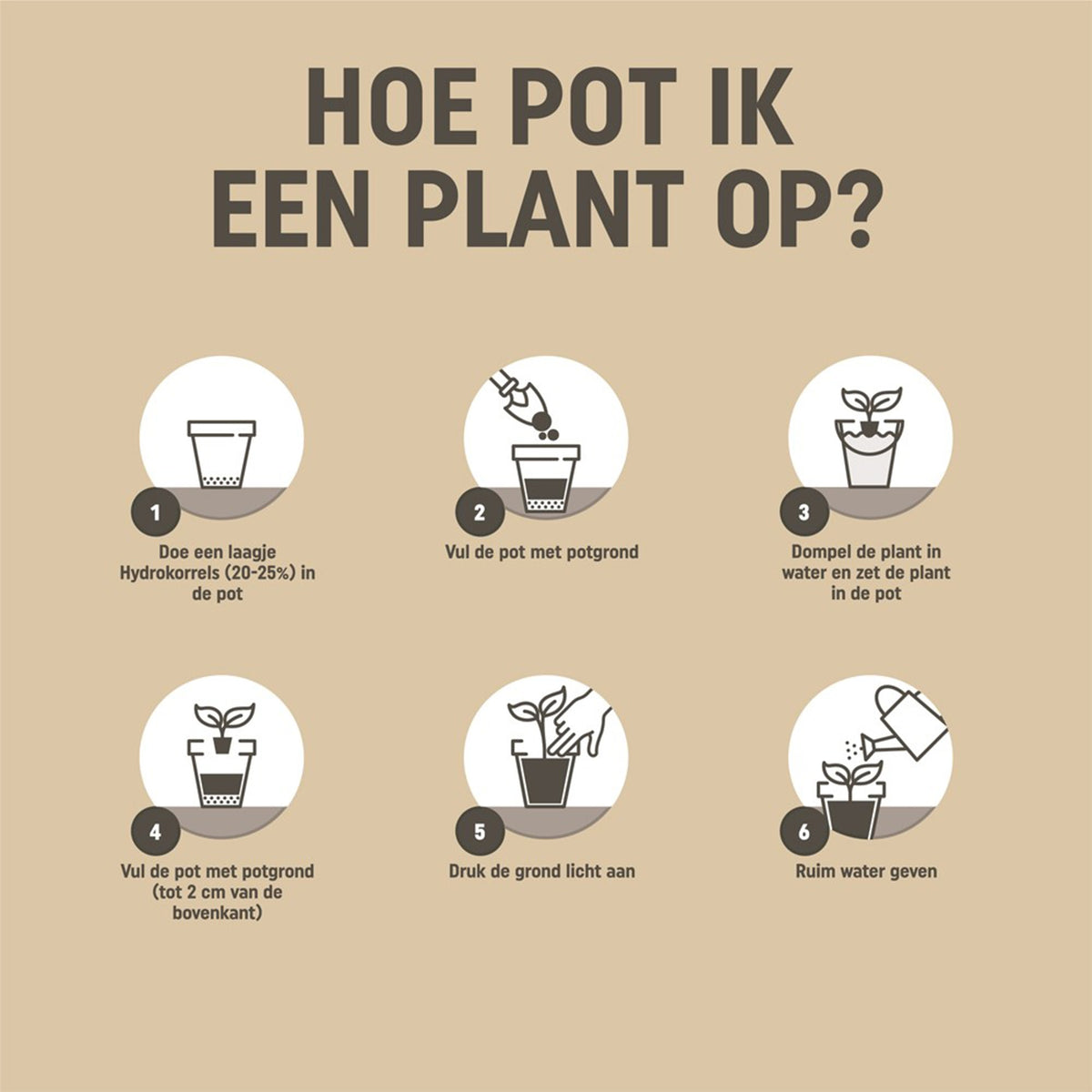 Pokon Bio Gemüsegartenerde