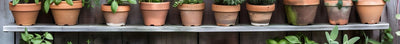 Aromatische Pflanzen für die Terrasse