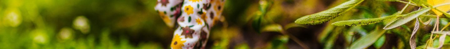 Gemüsegarten im Frühling
