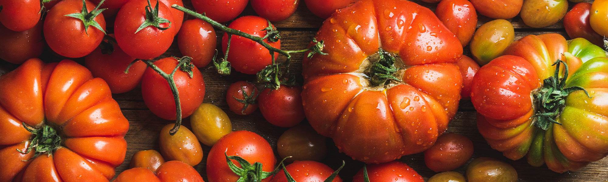 Bio-Tomatenzauber