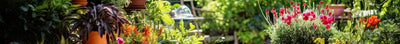 Blühende Sommerterrasse