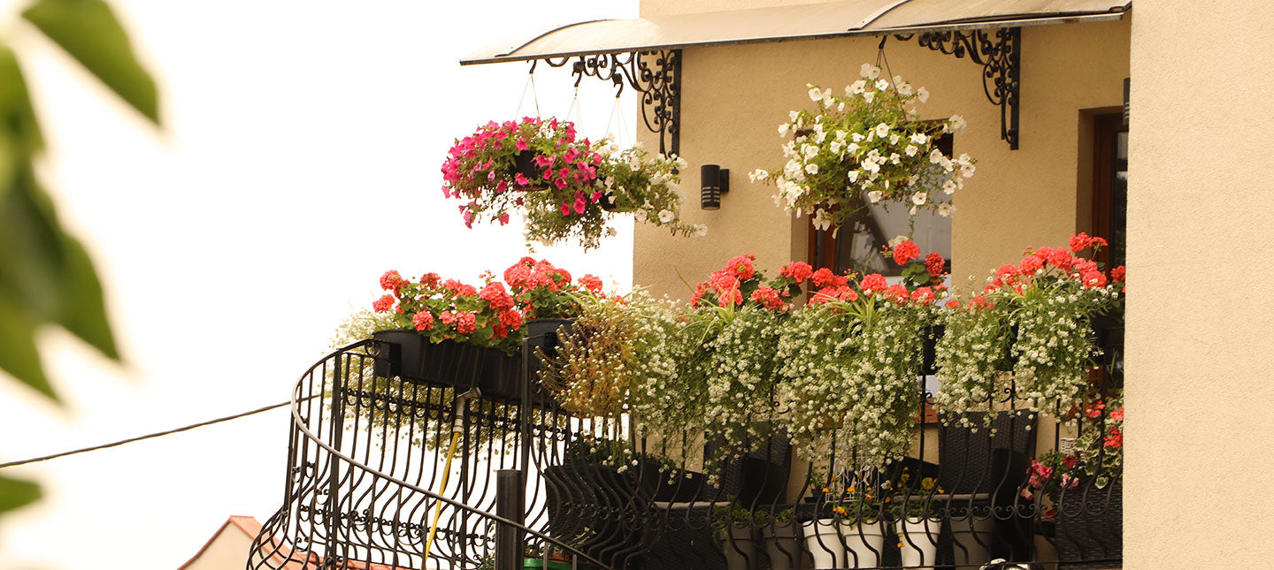Südbalkon