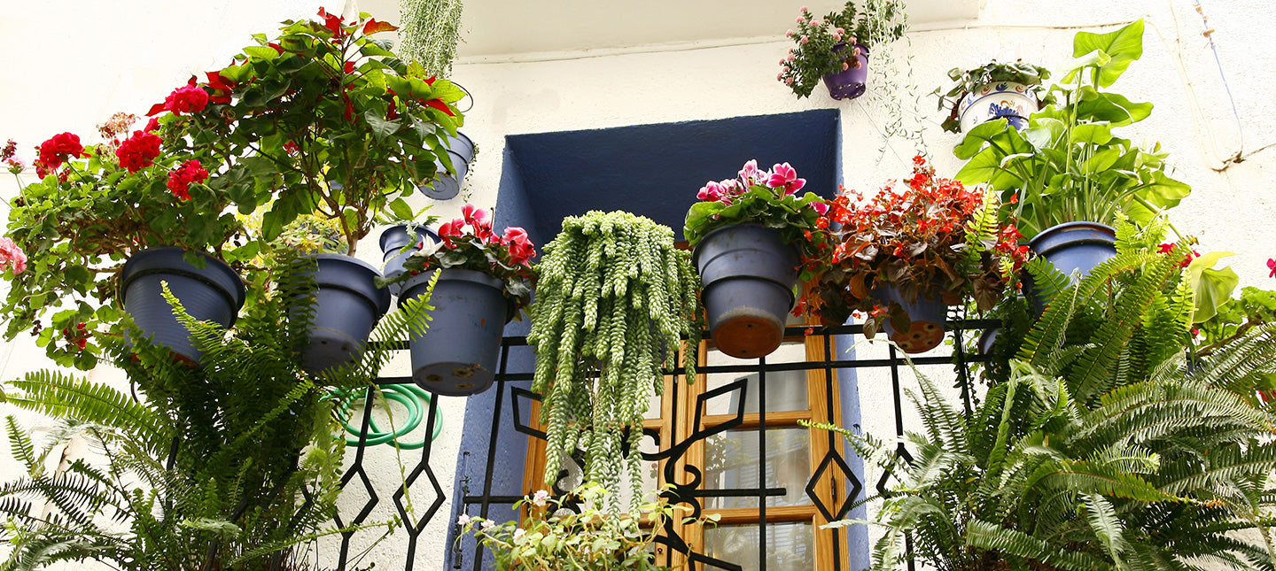 Pflegeleichter Balkon