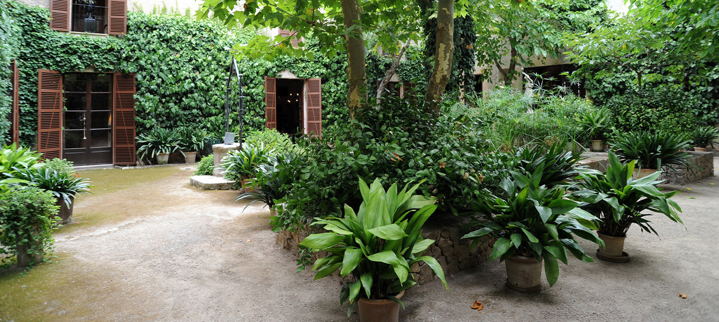 Windgeschützte Terrasse