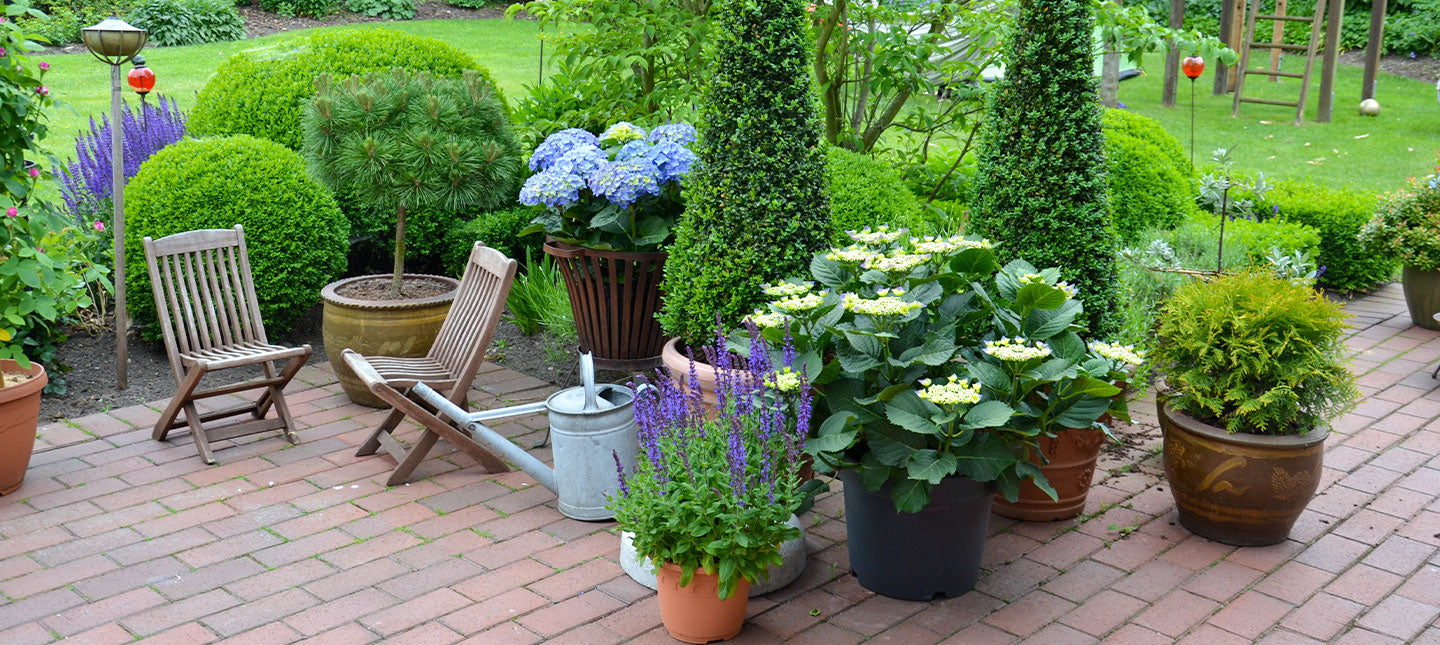 Duftende Terrasse