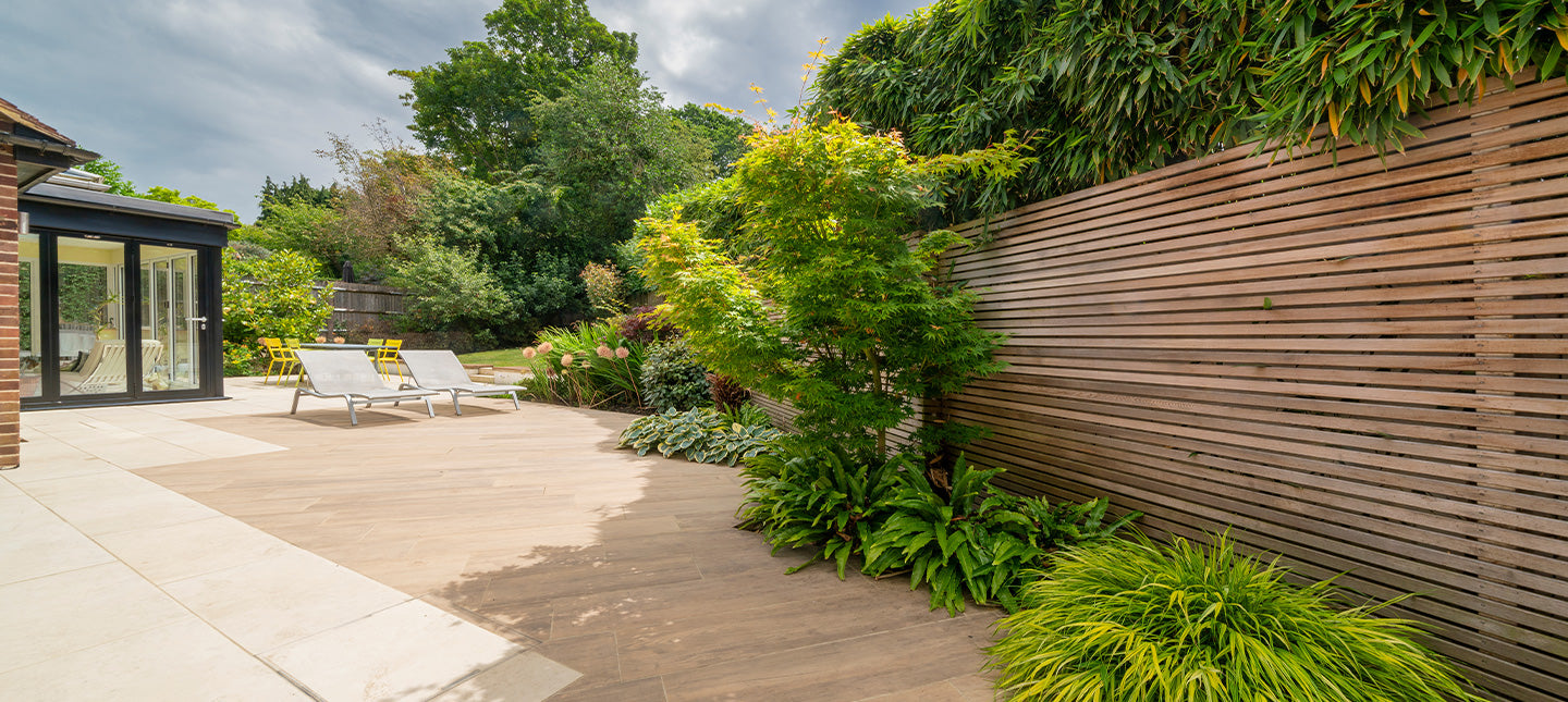 Terrassenpflanzen mit dauerhaftem Laub