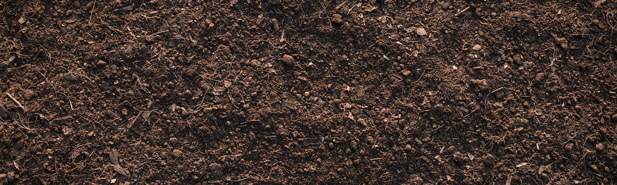 Erde, Mulch und Drainage