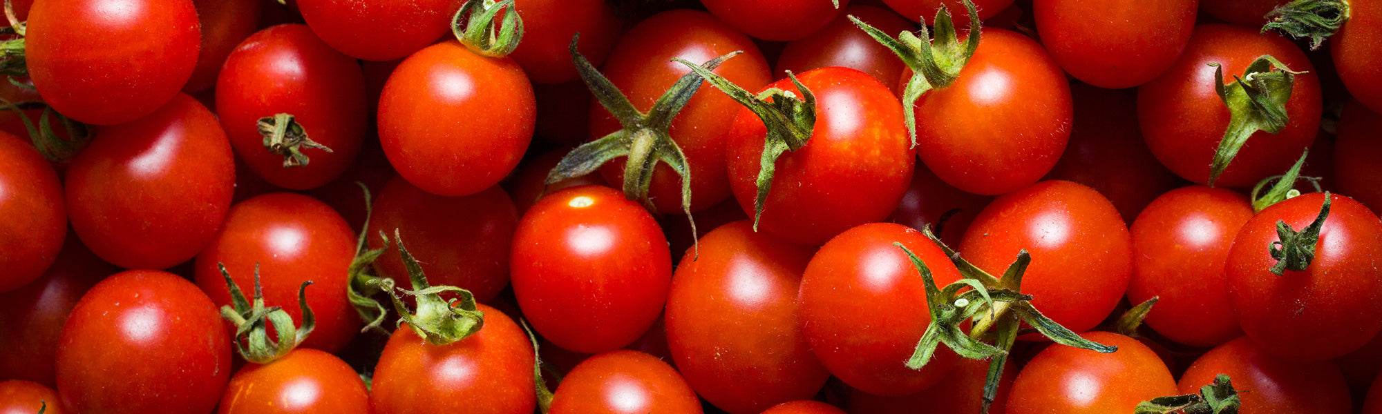 Kirschtomaten