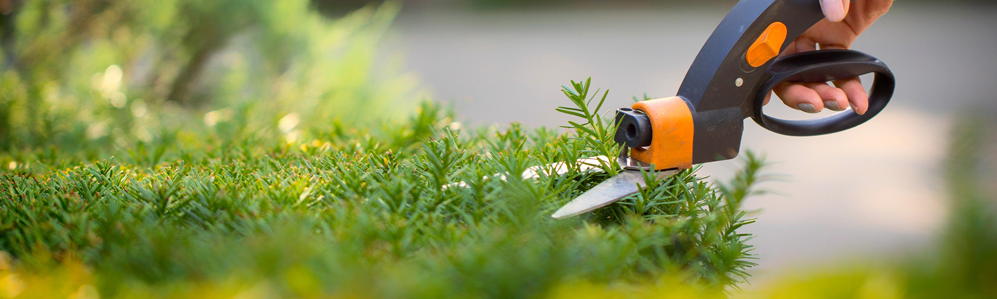 Motorisierte Gartenhelfer