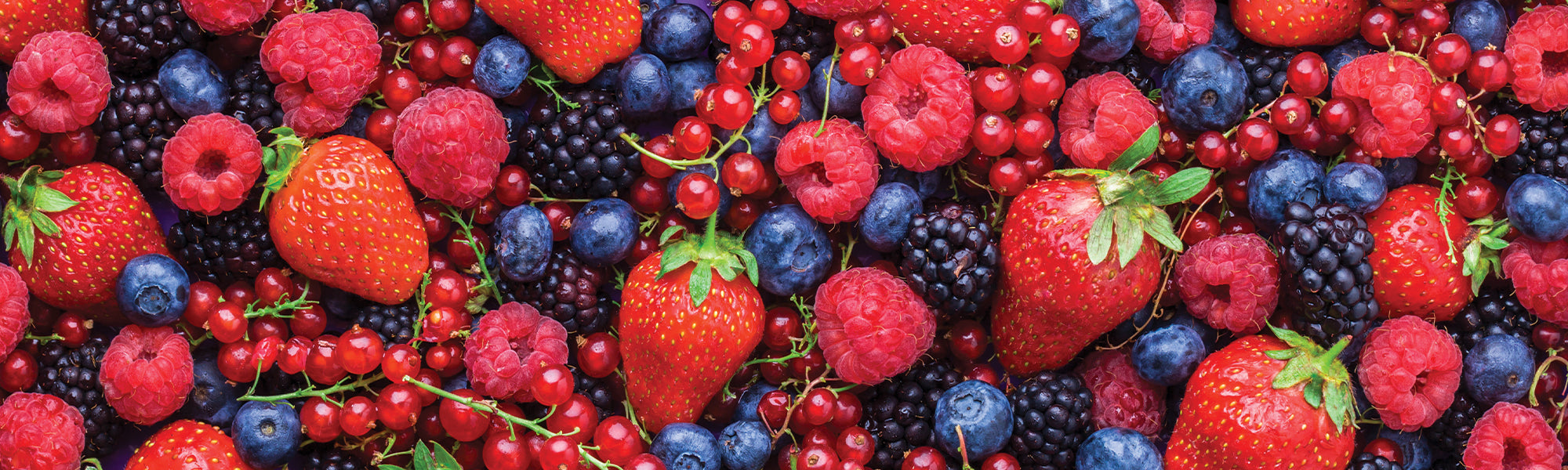 Rote Früchte