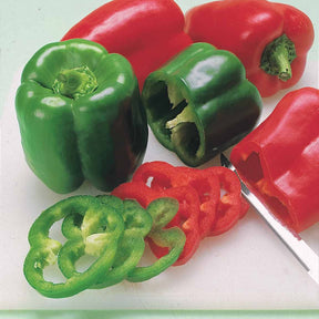Capsicum annuum lamuyo f1 - Paprika Lamuyo F1 - Samen für Paprika