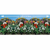 Saatteppich für Blumenrabatten - Willemse