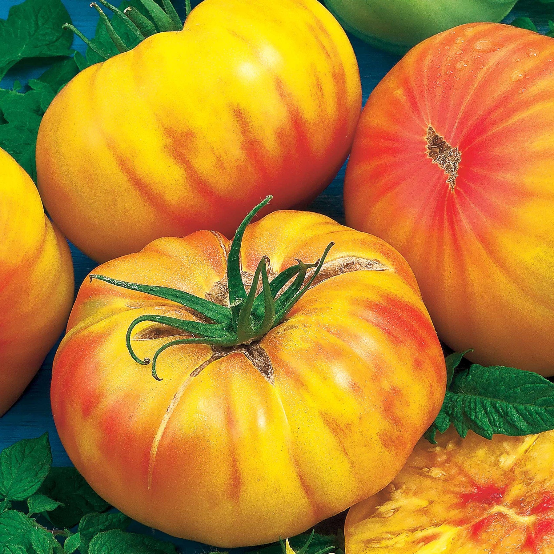Solanum lycopersicum ananas - Fleischtomate Ananas - Samen für Tomaten