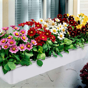 Dahlien 'Topmix' (x5) - Dahlias topmix - Willemse