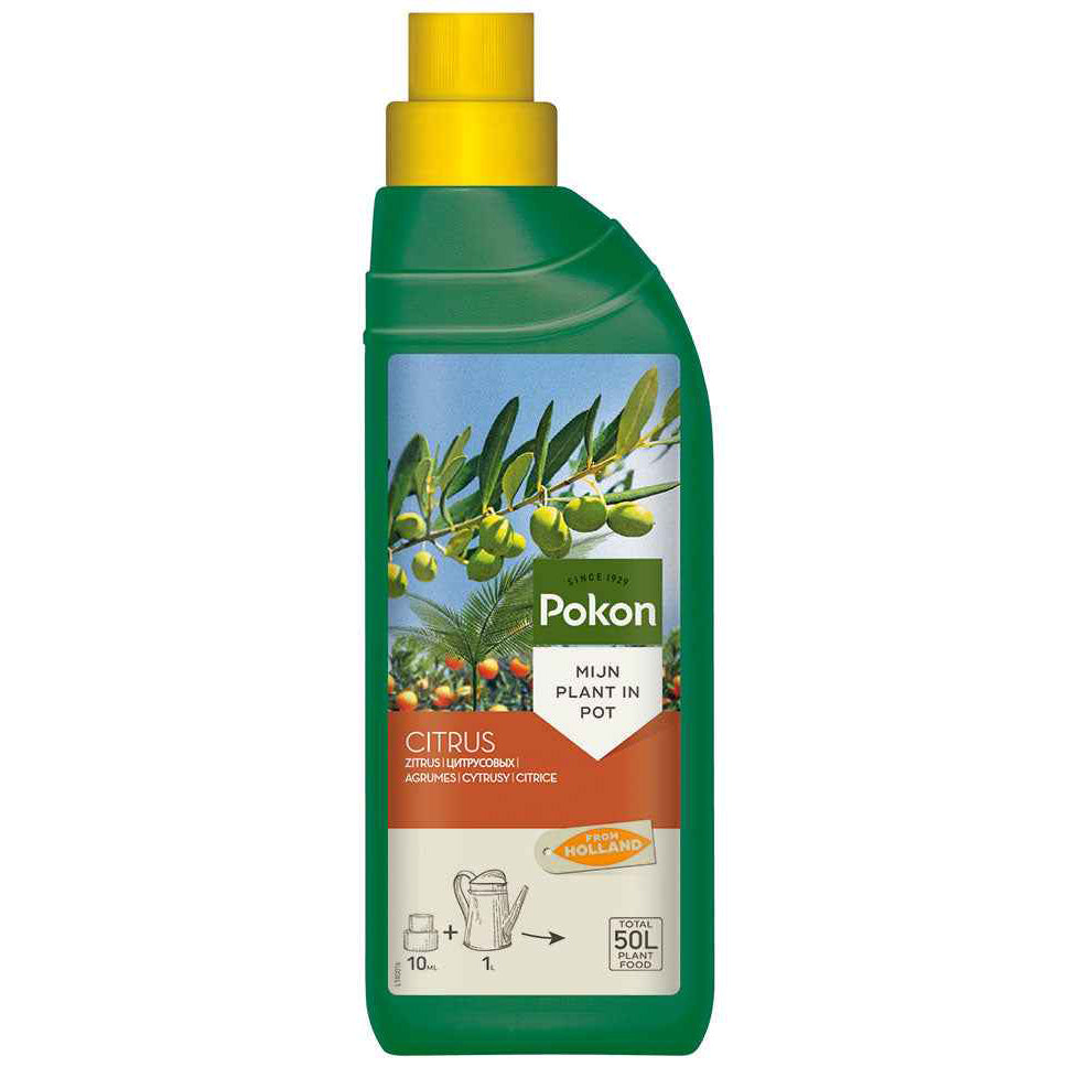 Pokon Flüssigdünger für Zitronenbäume & mediterrane Pflanzen - Willemse