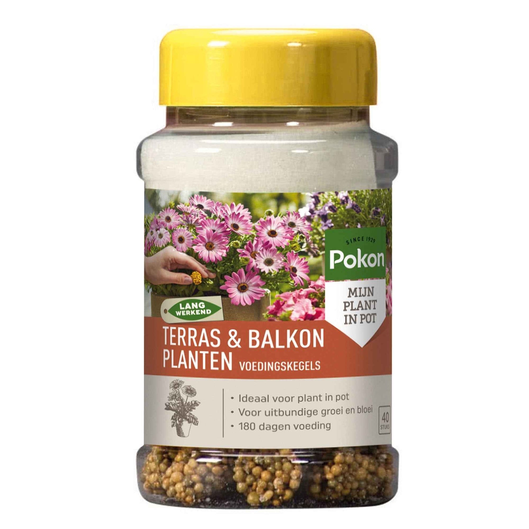 Pokon Dünger für Terrassen- und Balkonpflanzen - Willemse