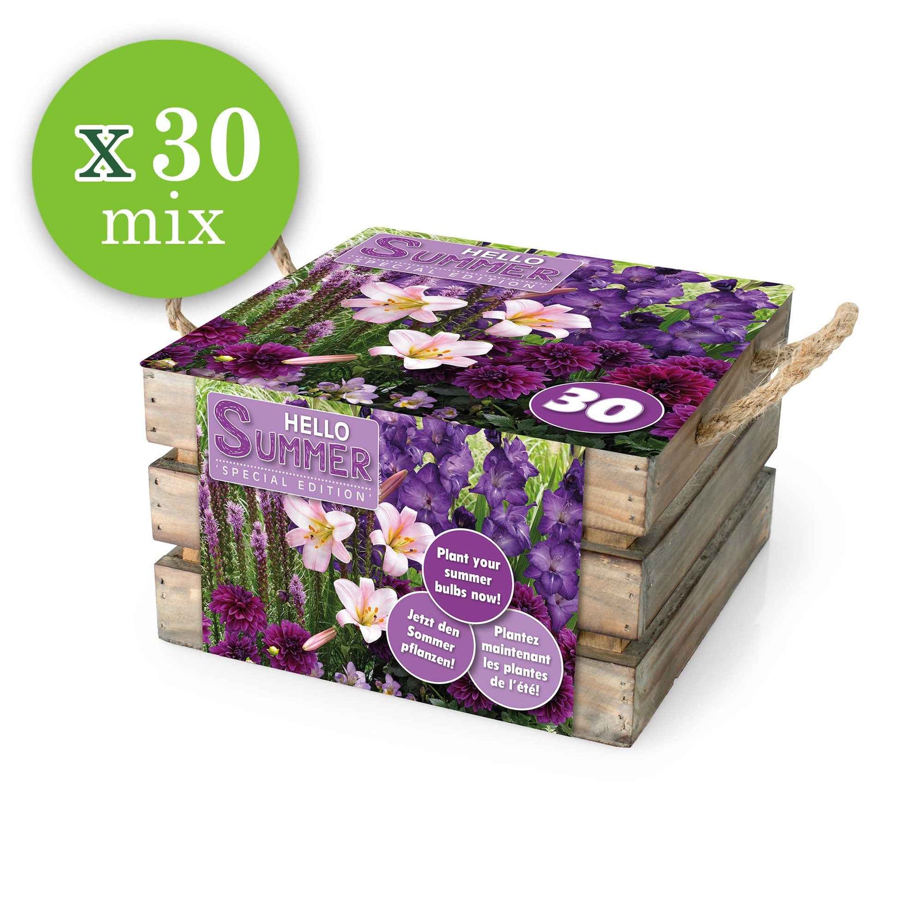 Blumenzwiebeln Mischung 'Hello Summer!' (x30) - Dahlia, lilium, gladiolus, liatris - Willemse