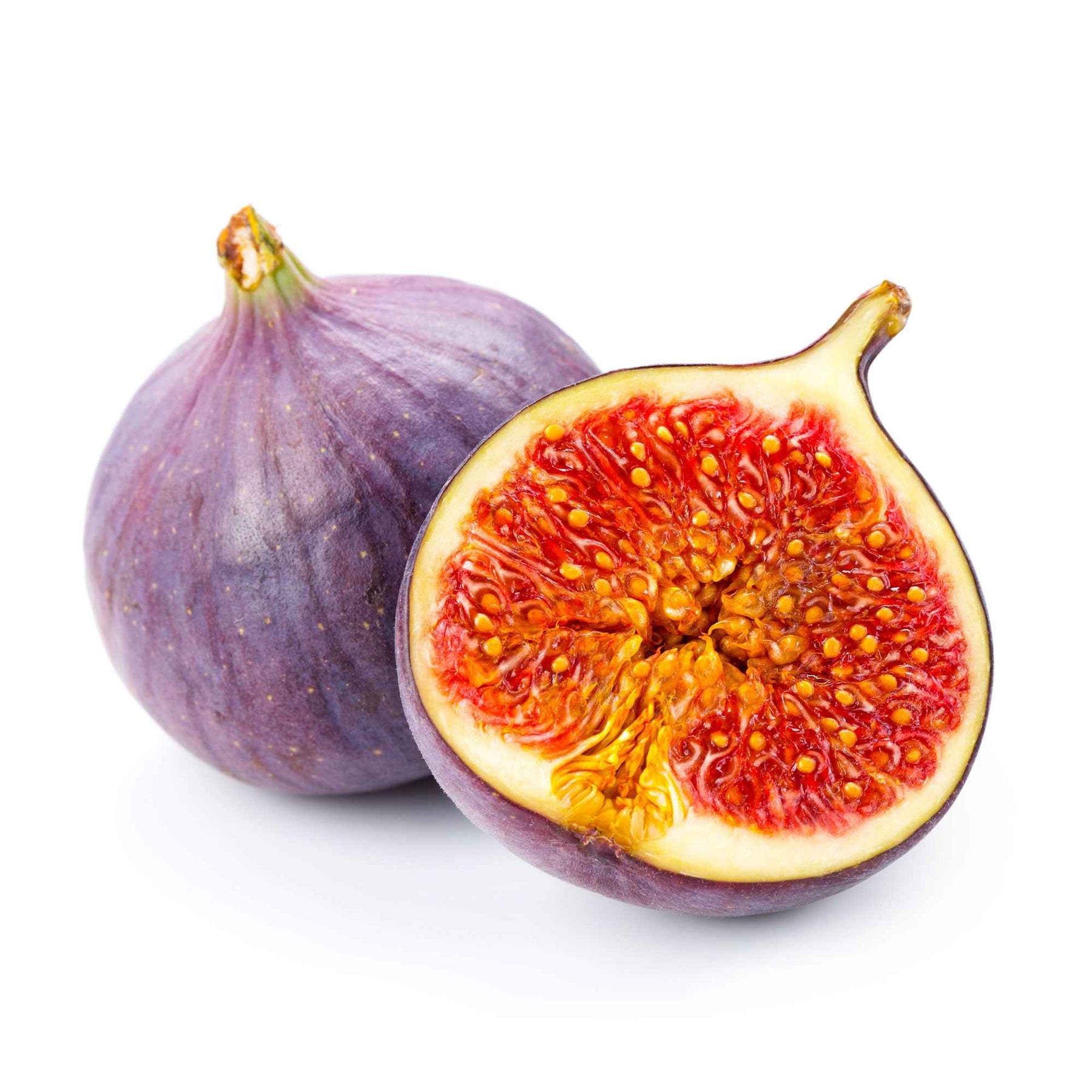 Feigenbaum Ficus carica 'Perretta' - grün-braun - Winterhart - Ficus carica Gustissimo Perretta - Willemse
