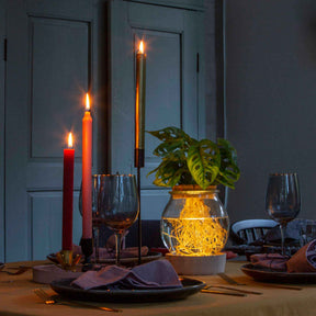 Monstera im Kugelglas mit LED-Beleuchtung - Hydroponik - Monstera - Willemse