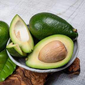 Exotische Obstbäume - Avocadobaum Bacon - Persea americana var. Bacon (De greffe)