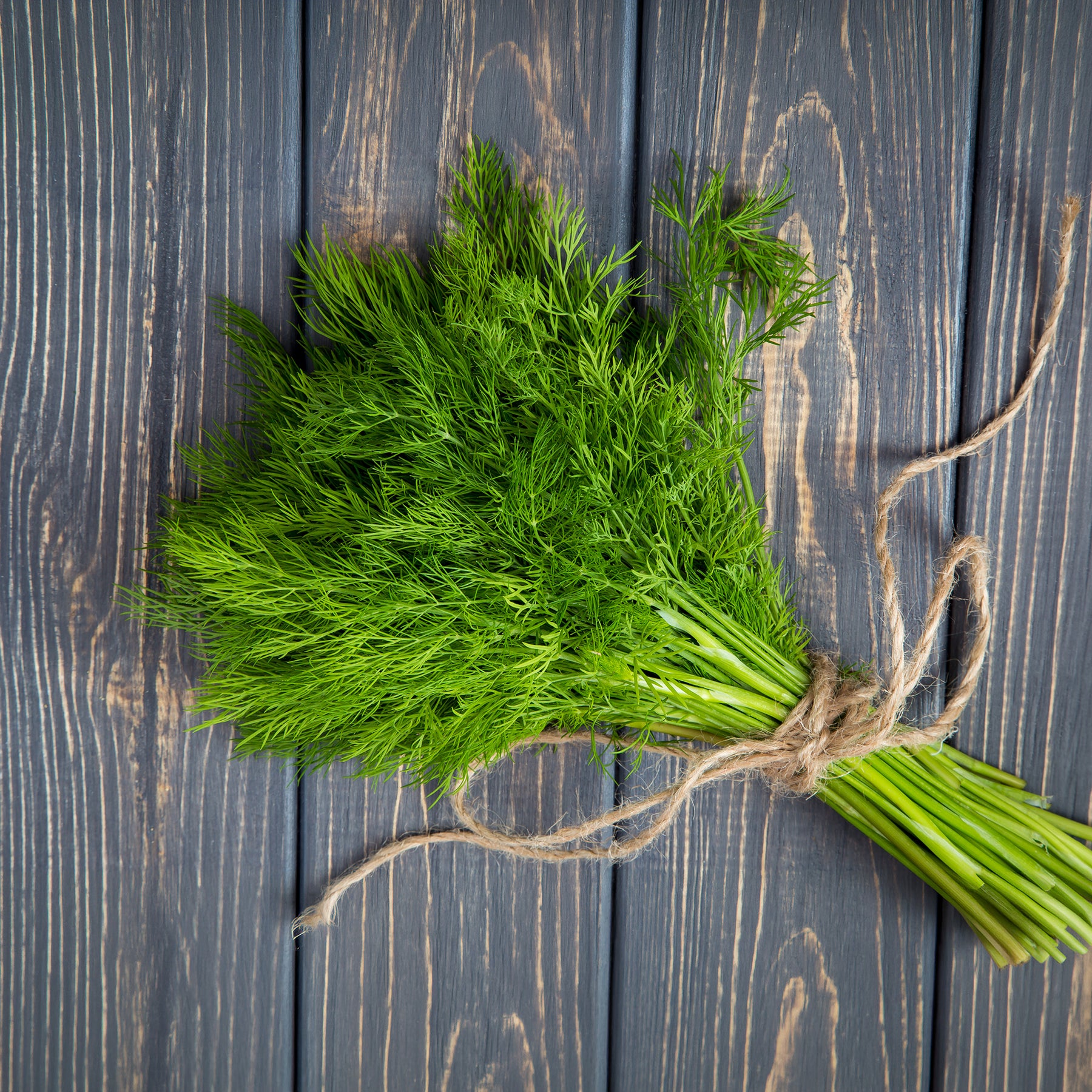 Dill Bouquet - Willemse