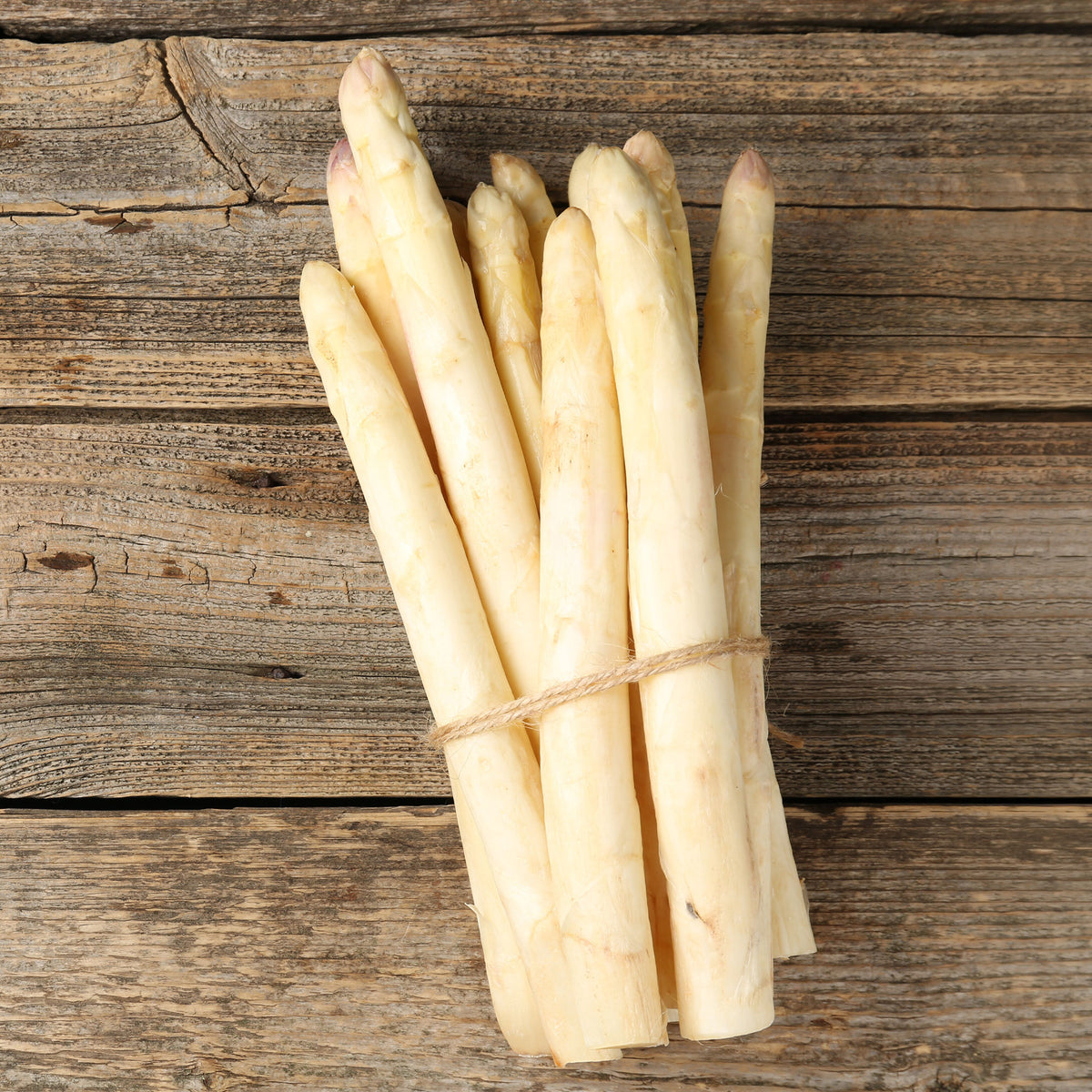 Spargel Argenteuil (x10) - Willemse