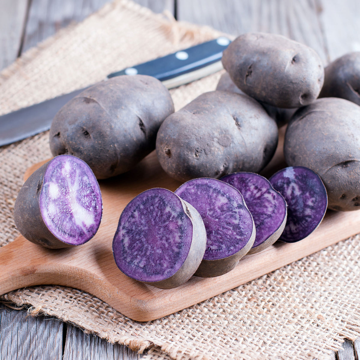 Kartoffel 'Ulysse' Bio - Solanum tuberosum ulysse - Willemse
