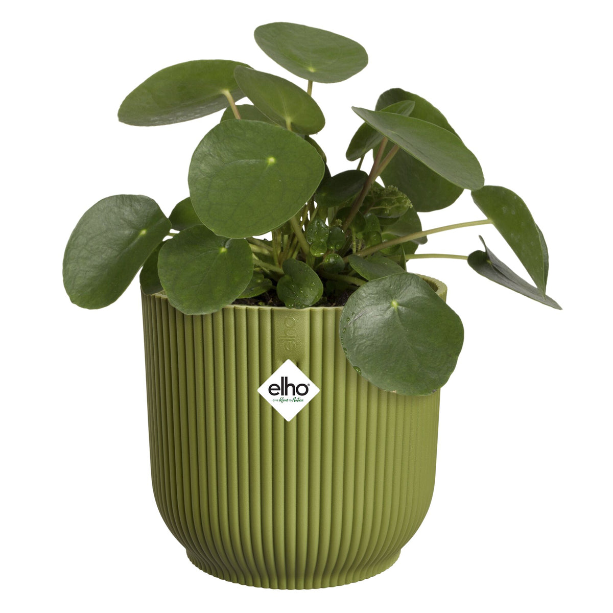 Elho Blumentopf Vibes fold rund ferngrün -  - Willemse