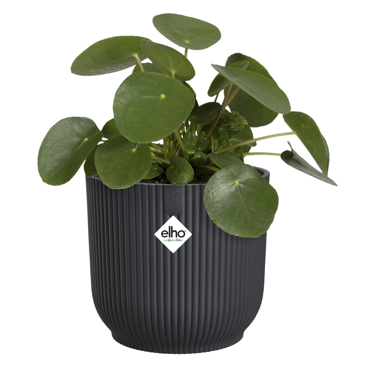 Elho Blumentopf Vibes fold rund anthrazit