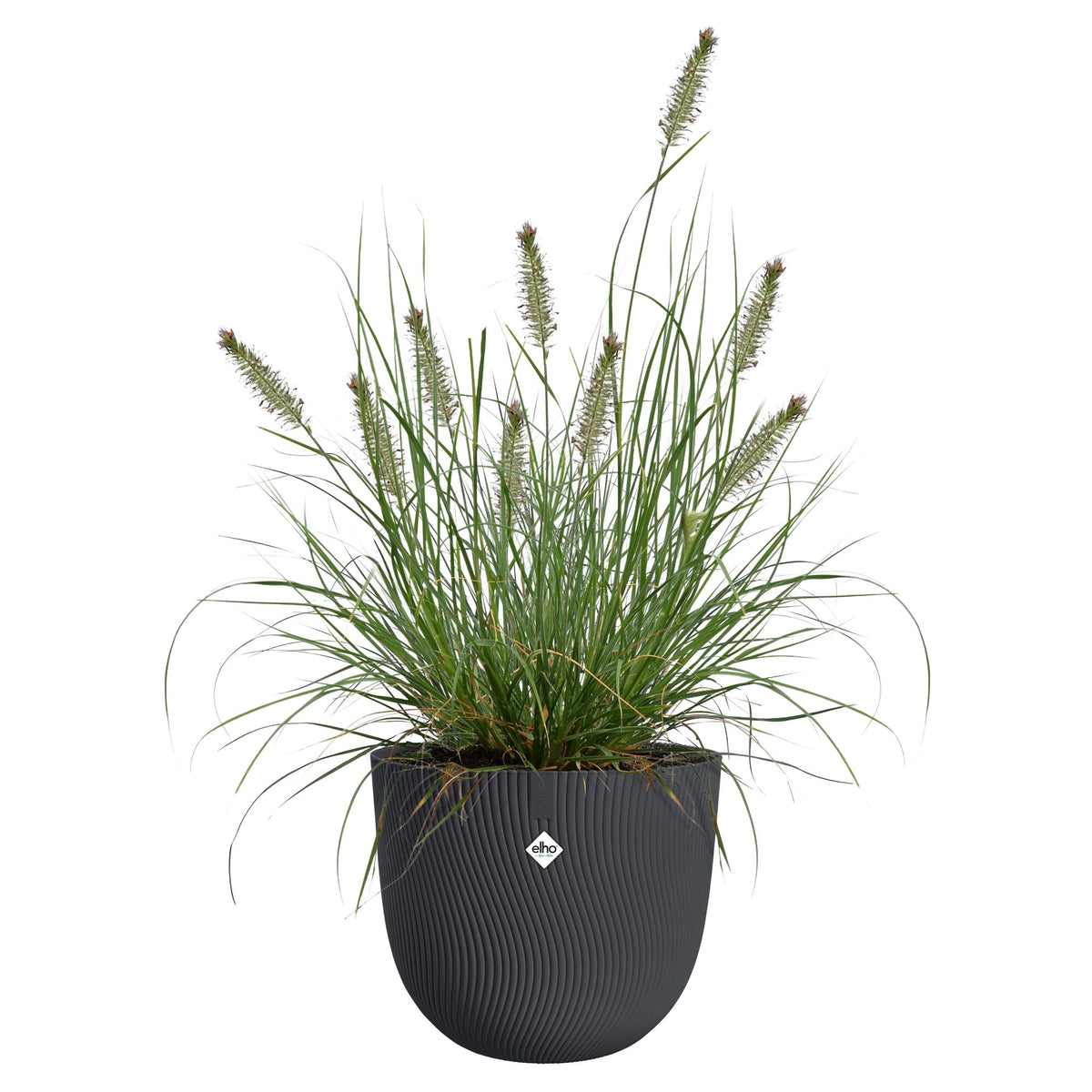Blumentopf Sereh rund santhrazit -  - Willemse