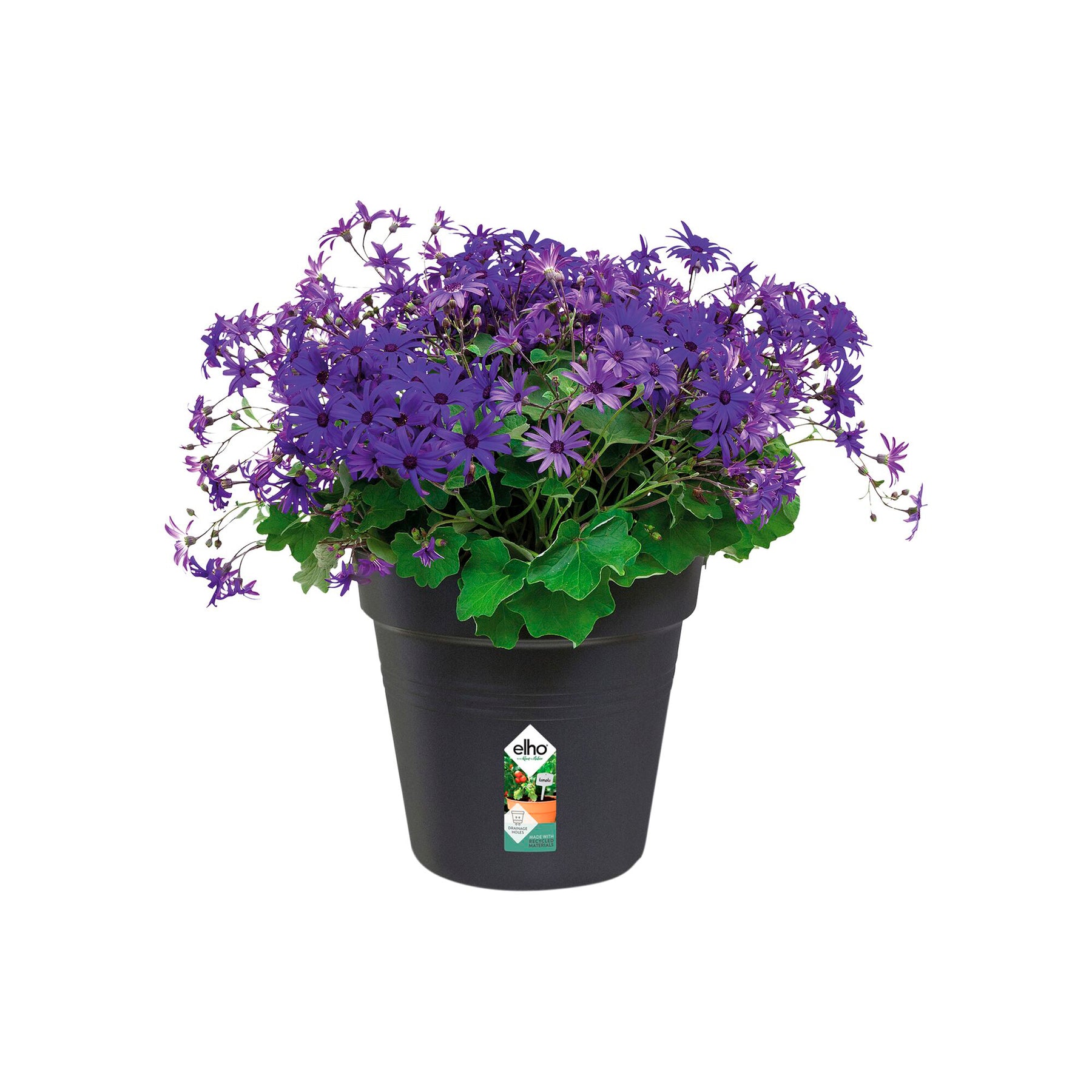  - Anzuchttopf Green Basics  Living Schwarz ELHO - Außenblumentöpfe