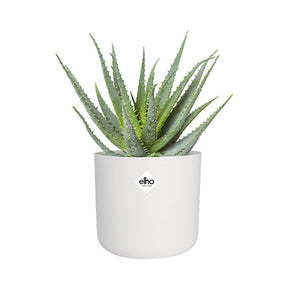 Elho Blumentopf B.for soft rund wei?