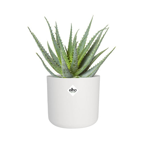 Elho Blumentopf B.for soft rund wei?