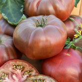 Tomate ‘Noire de Crimée’