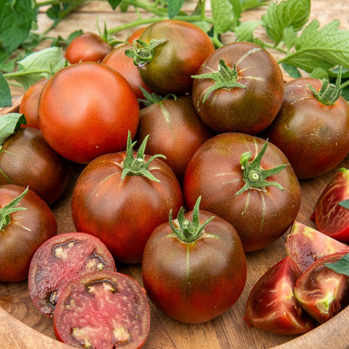 Schwarze Fleischtomate 'Noire Russe' - Solanum lycopersicum noire russe - Willemse