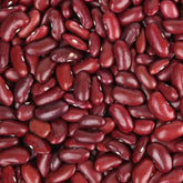 Rote Bohnen - Willemse