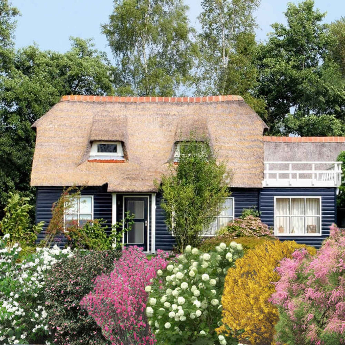 Hecken-Kollektion vier Jahreszeiten (6 Sträucher) - Tamarix, forsythia, philadelphus, ribes, symphonicarpus, viburnum - Willemse