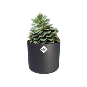 Elho Blumentopf B.for soft rund anthrazit -  - Willemse