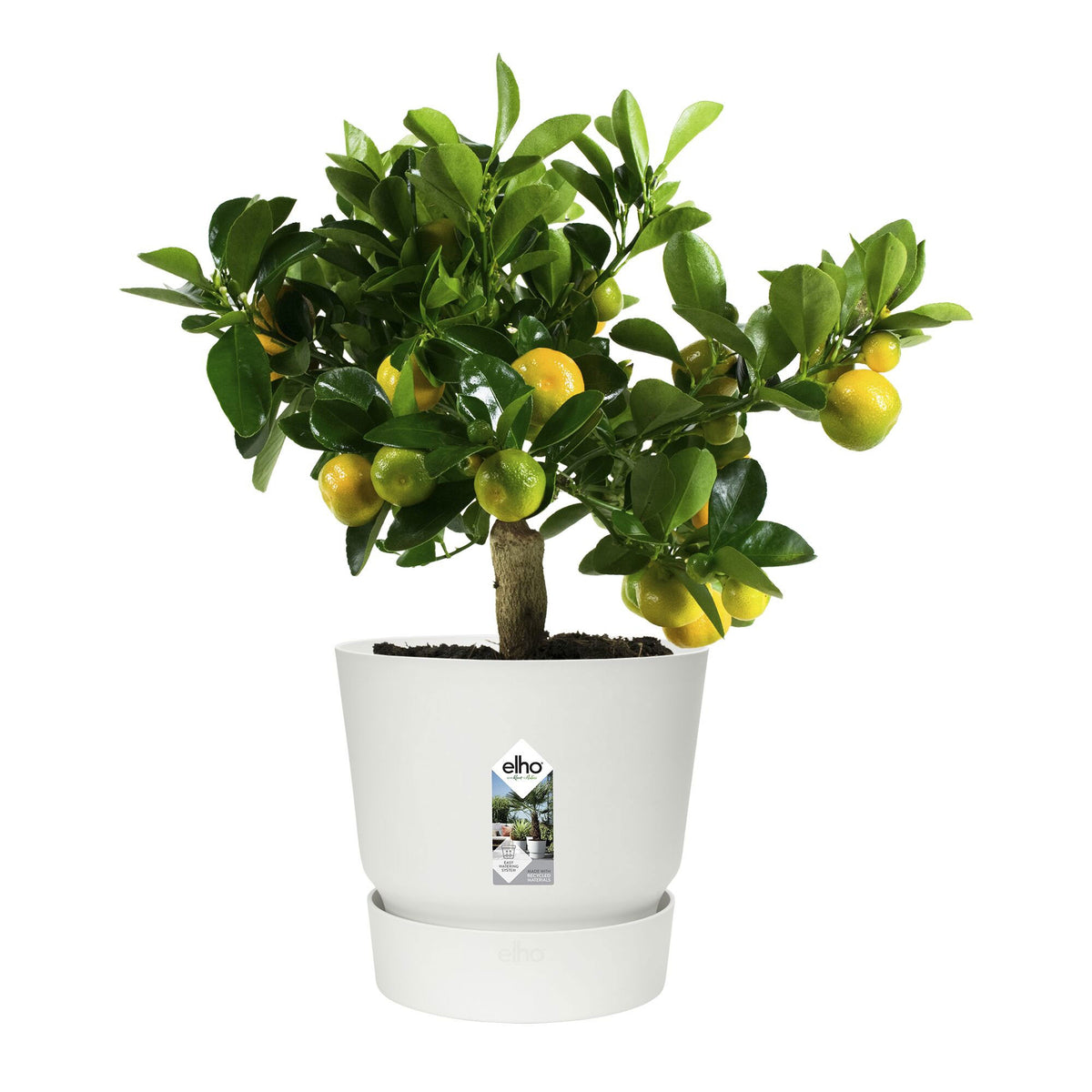 Elho Greenville-Blumentopf, rund, weiß - Pflanzgefäß Outdoor