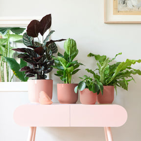 Elho Blumentopf Vibes Fold rund rosa - Innentopf