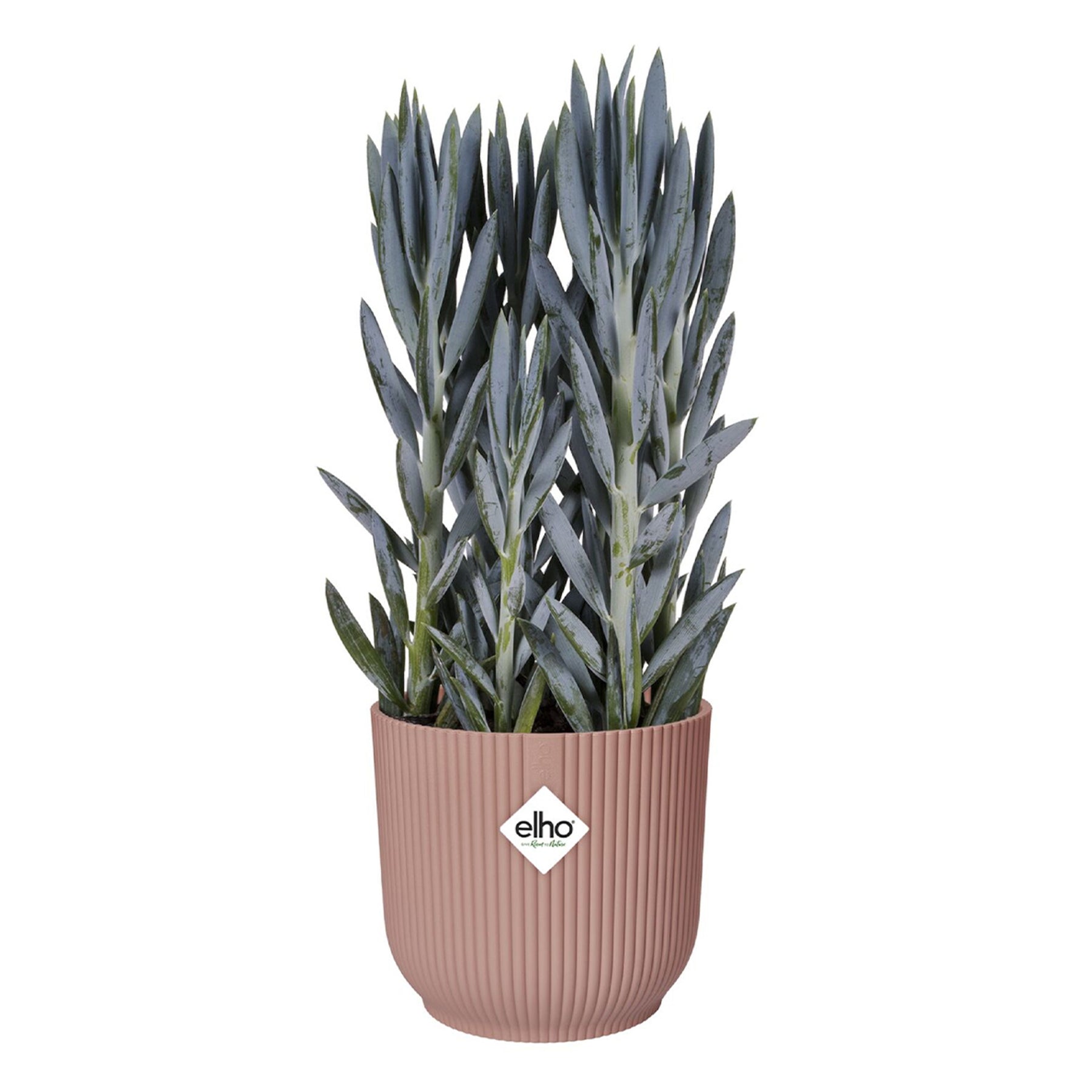 Elho Blumentopf Vibes Fold rund rosa - Innentopf