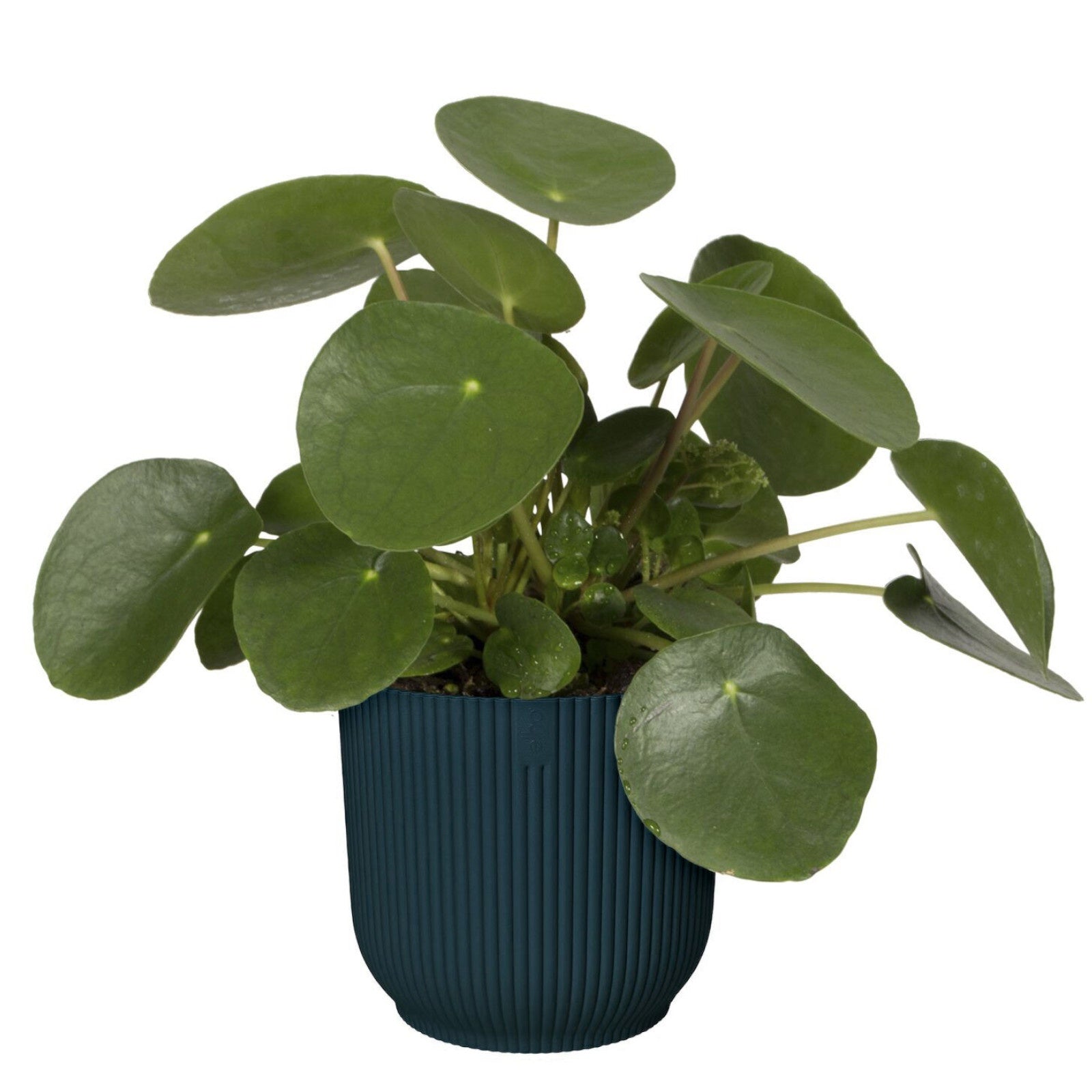 Elho Blumentopf Vibes Fold rund blau - Innentopf