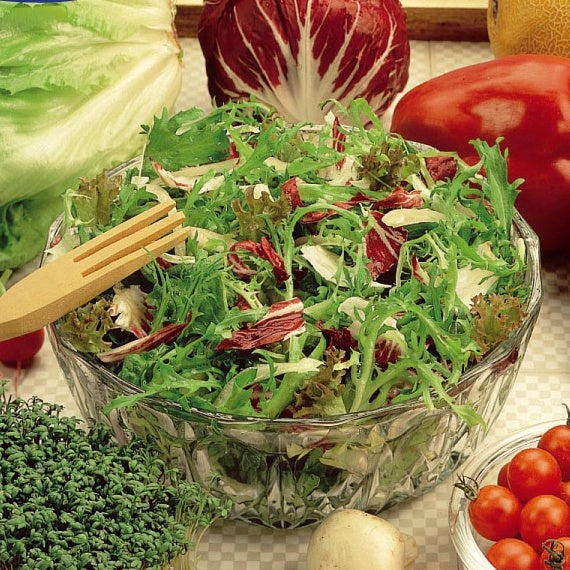 Salat in einer Gastronomenschnittmischung - Willemse